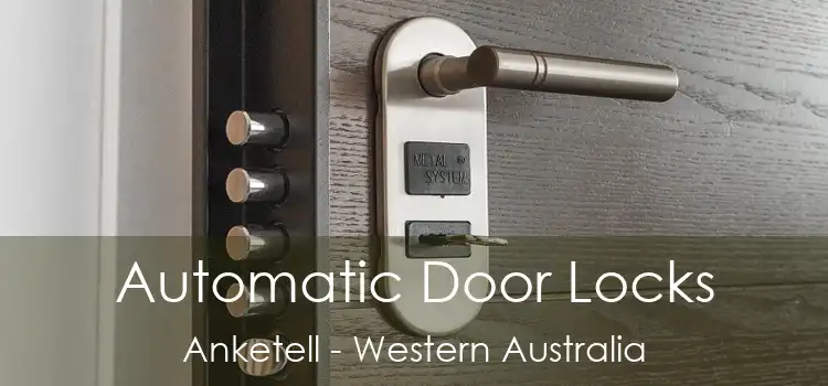 Automatic Door Locks Anketell - Western Australia