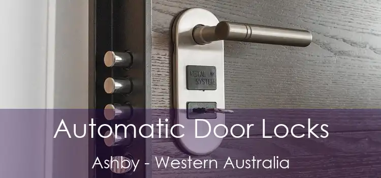 Automatic Door Locks Ashby - Western Australia