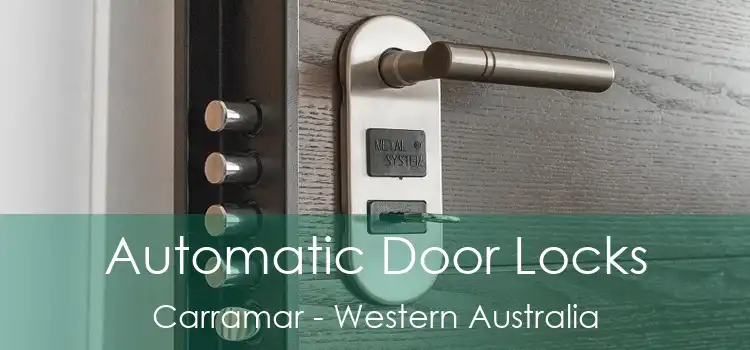 Automatic Door Locks Carramar - Western Australia