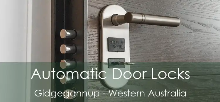 Automatic Door Locks Gidgegannup - Western Australia