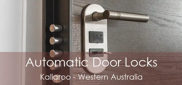 Automatic Door Locks Kallaroo - Western Australia