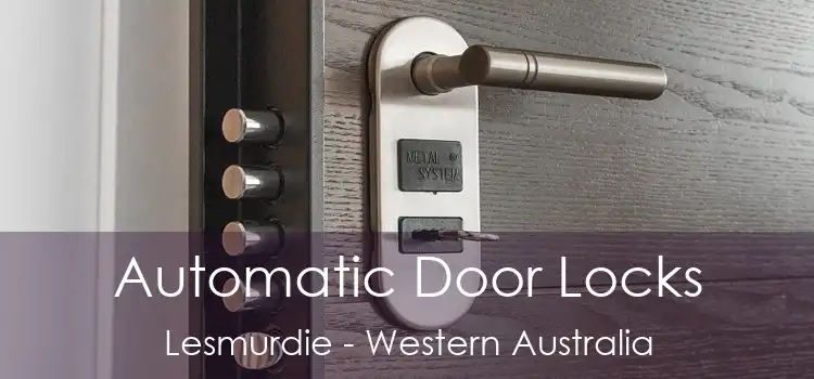 Automatic Door Locks Lesmurdie - Western Australia
