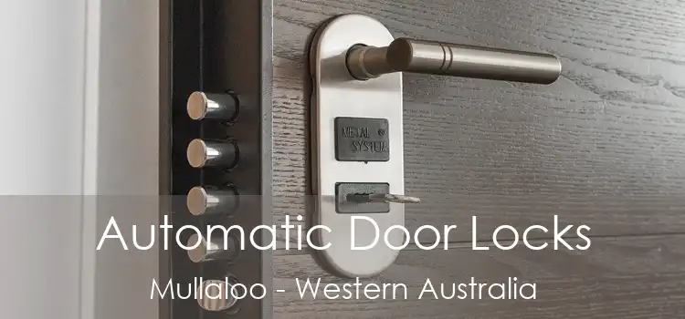 Automatic Door Locks Mullaloo - Western Australia