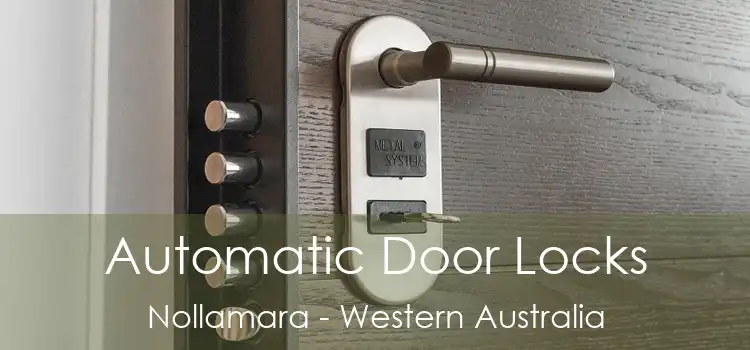 Automatic Door Locks Nollamara - Western Australia