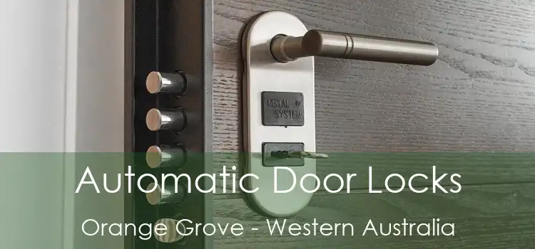 Automatic Door Locks Orange Grove - Western Australia