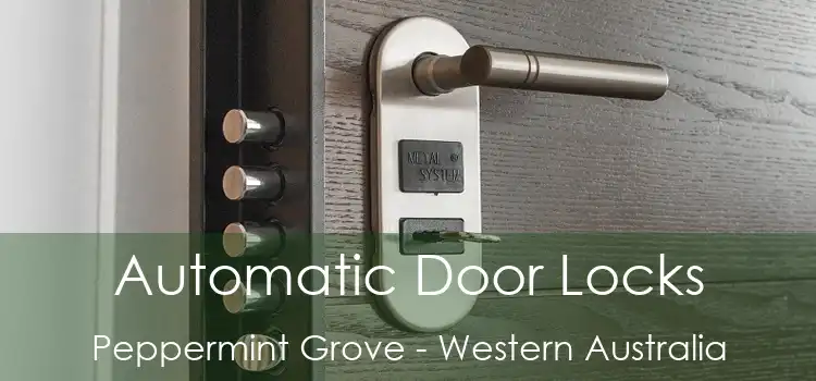Automatic Door Locks Peppermint Grove - Western Australia