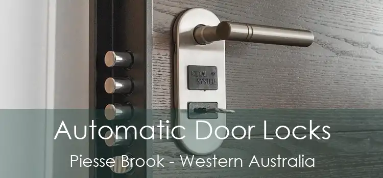 Automatic Door Locks Piesse Brook - Western Australia