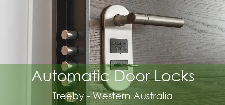 Automatic Door Locks Treeby - Western Australia