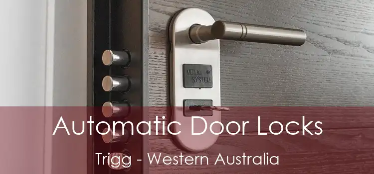 Automatic Door Locks Trigg - Western Australia