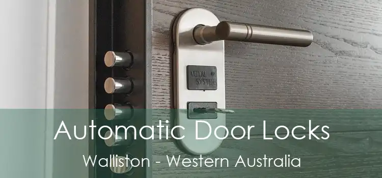 Automatic Door Locks Walliston - Western Australia