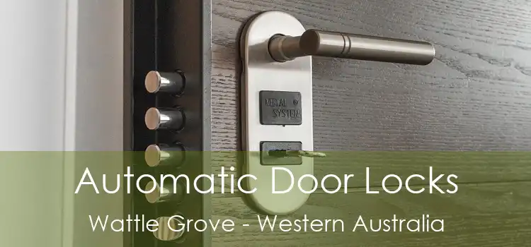 Automatic Door Locks Wattle Grove - Western Australia