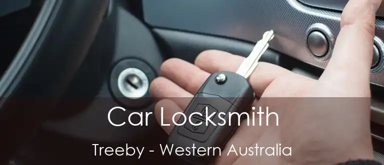 Car Locksmith Treeby - Western Australia