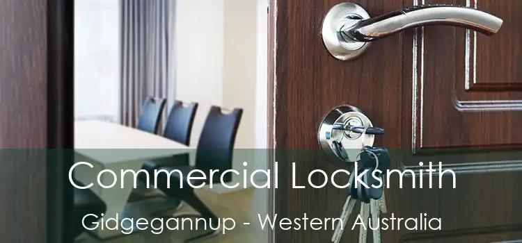 Commercial Locksmith Gidgegannup - Western Australia