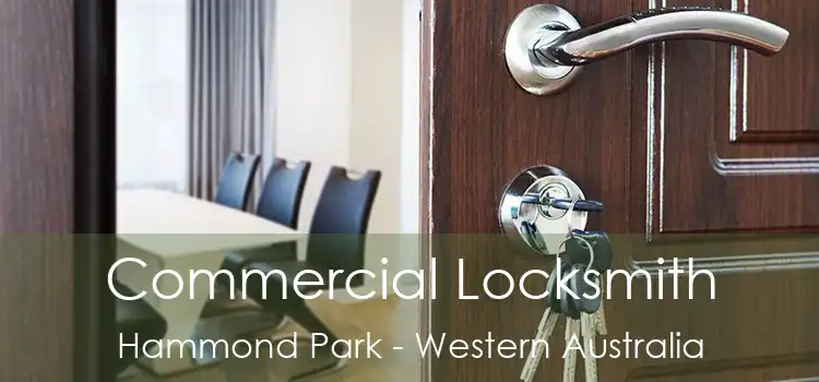 Commercial Locksmith Hammond Park - Western Australia