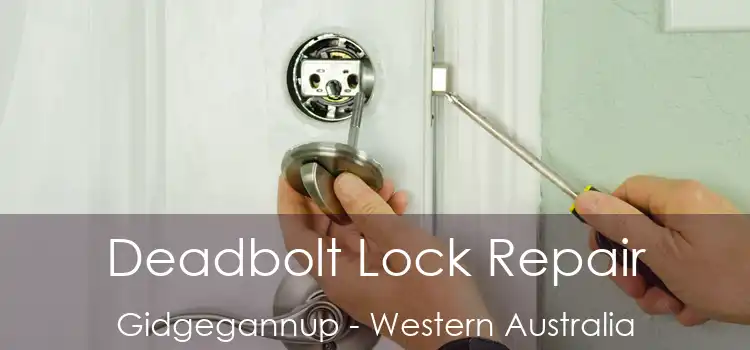 Deadbolt Lock Repair Gidgegannup - Western Australia