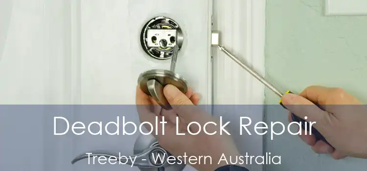Deadbolt Lock Repair Treeby - Western Australia