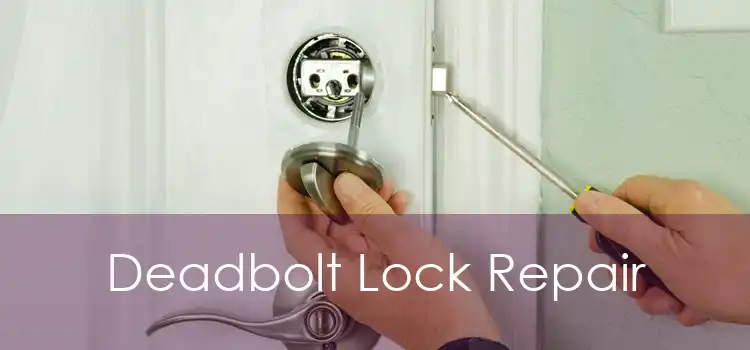 Deadbolt Lock Repair
