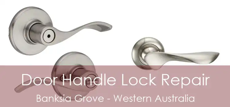 Door Handle Lock Repair Banksia Grove - Western Australia