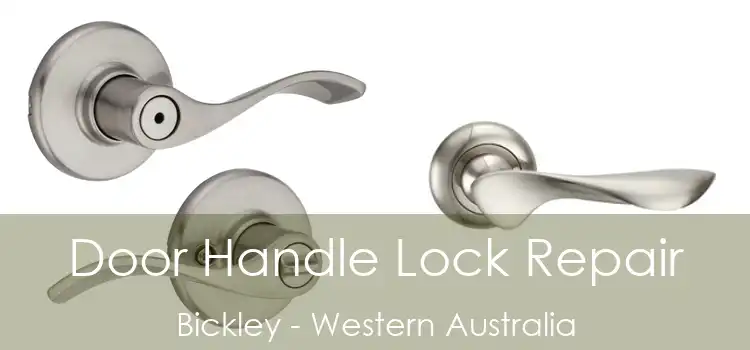 Door Handle Lock Repair Bickley - Western Australia