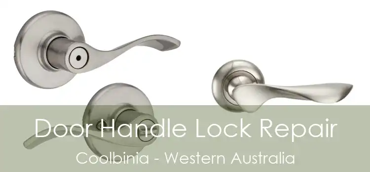 Door Handle Lock Repair Coolbinia - Western Australia