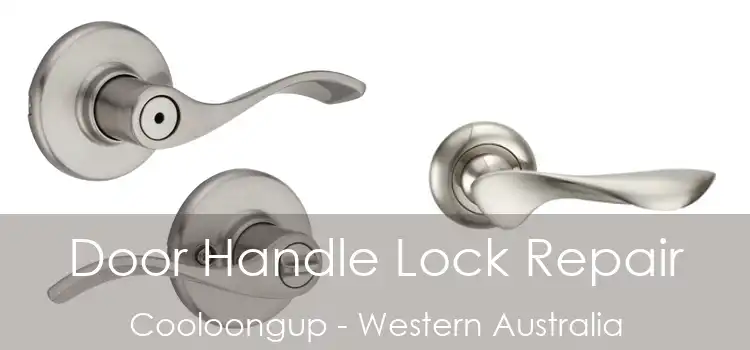 Door Handle Lock Repair Cooloongup - Western Australia