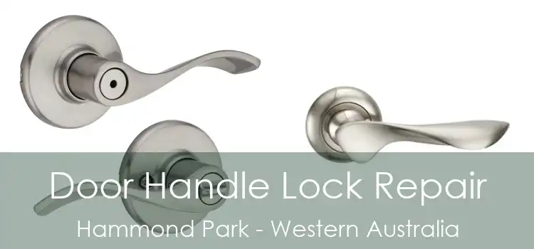 Door Handle Lock Repair Hammond Park - Western Australia