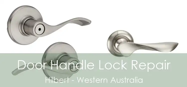 Door Handle Lock Repair Hilbert - Western Australia