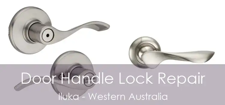 Door Handle Lock Repair Iluka - Western Australia