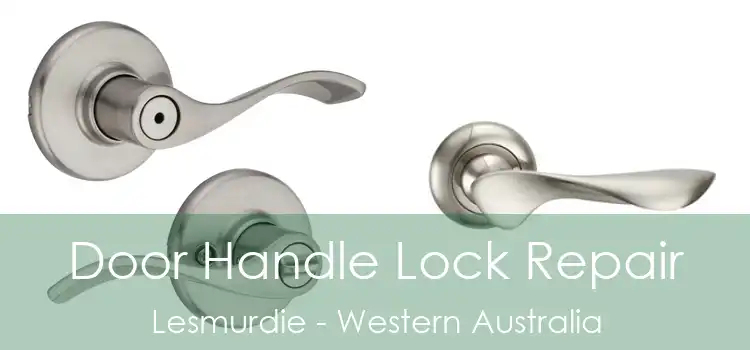 Door Handle Lock Repair Lesmurdie - Western Australia
