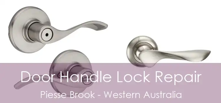 Door Handle Lock Repair Piesse Brook - Western Australia