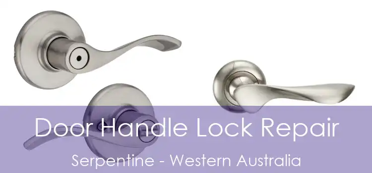 Door Handle Lock Repair Serpentine - Western Australia