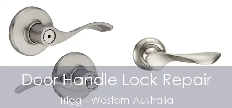 Door Handle Lock Repair Trigg - Western Australia