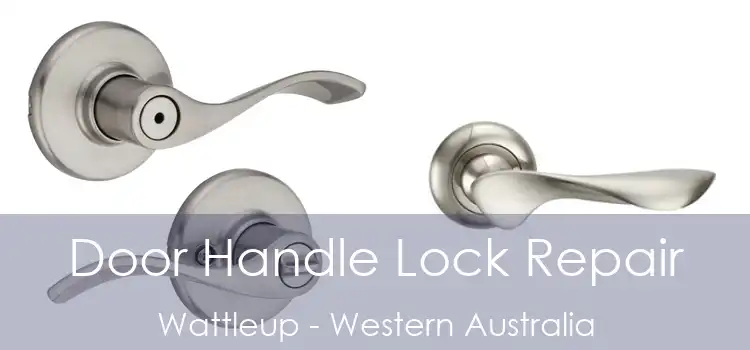 Door Handle Lock Repair Wattleup - Western Australia