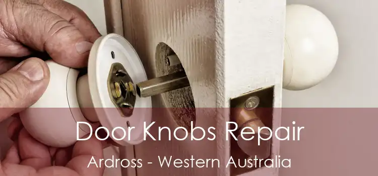 Door Knobs Repair Ardross - Western Australia