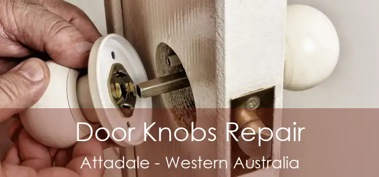 Door Knobs Repair Attadale - Western Australia