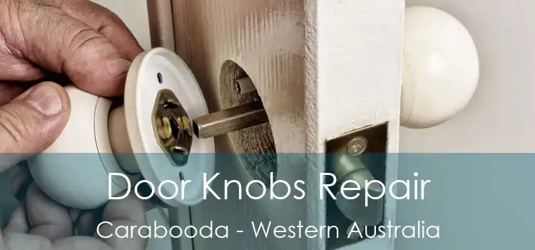 Door Knobs Repair Carabooda - Western Australia