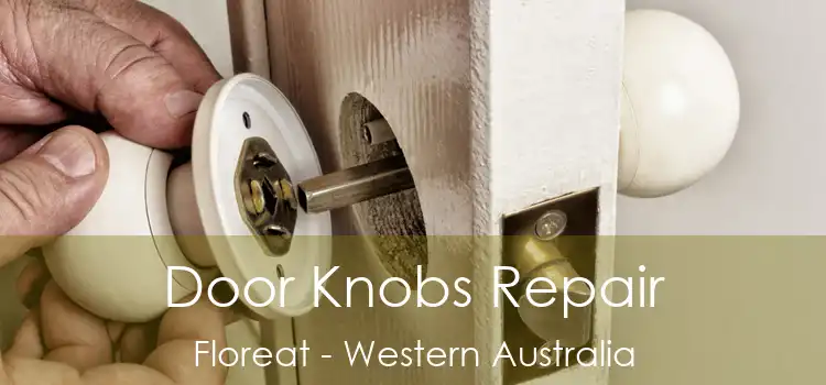 Door Knobs Repair Floreat - Western Australia