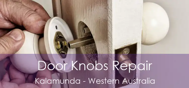 Door Knobs Repair Kalamunda - Western Australia