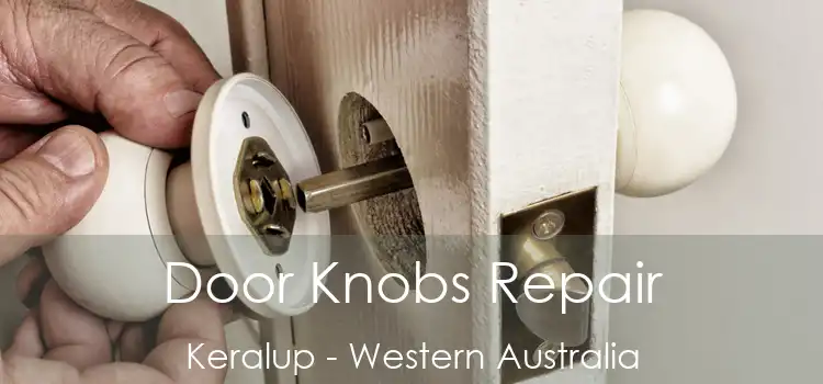 Door Knobs Repair Keralup - Western Australia