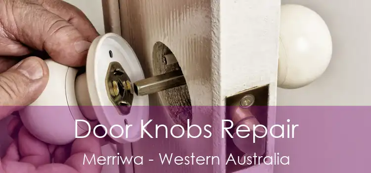 Door Knobs Repair Merriwa - Western Australia