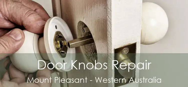 Door Knobs Repair Mount Pleasant - Western Australia