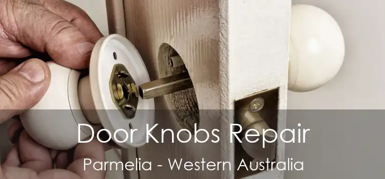 Door Knobs Repair Parmelia - Western Australia