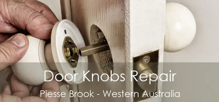 Door Knobs Repair Piesse Brook - Western Australia