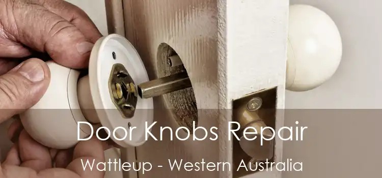 Door Knobs Repair Wattleup - Western Australia