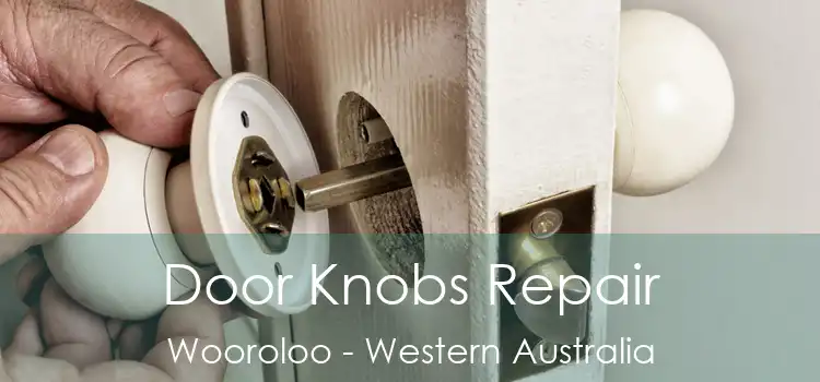 Door Knobs Repair Wooroloo - Western Australia