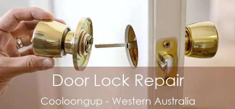 Door Lock Repair Cooloongup - Western Australia