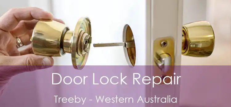 Door Lock Repair Treeby - Western Australia
