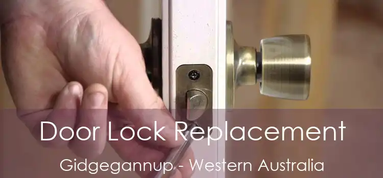Door Lock Replacement Gidgegannup - Western Australia