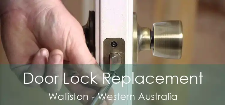 Door Lock Replacement Walliston - Western Australia
