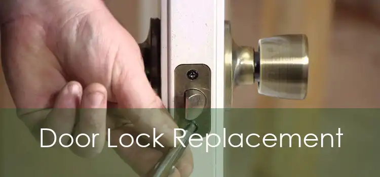 Door Lock Replacement 